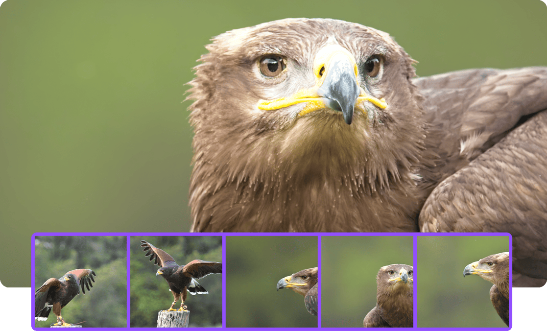 简单易用的界面